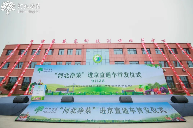 “河北净菜”进京直通车首发仪式在衡水举行